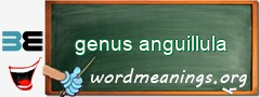 WordMeaning blackboard for genus anguillula